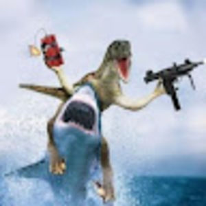 Meet your Posher, Matt